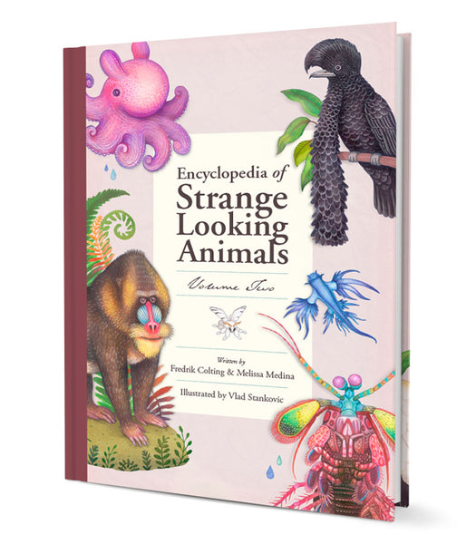 Encyclopedia of Strange Looking Animals
