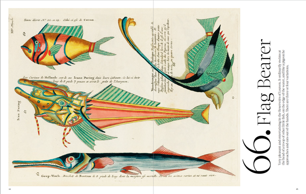 Louis Renard's Fantastical Fish