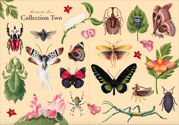 Encyclopedia of Amazing Insects
