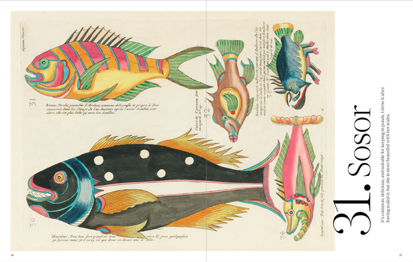 Louis Renard's Fantastical Fish